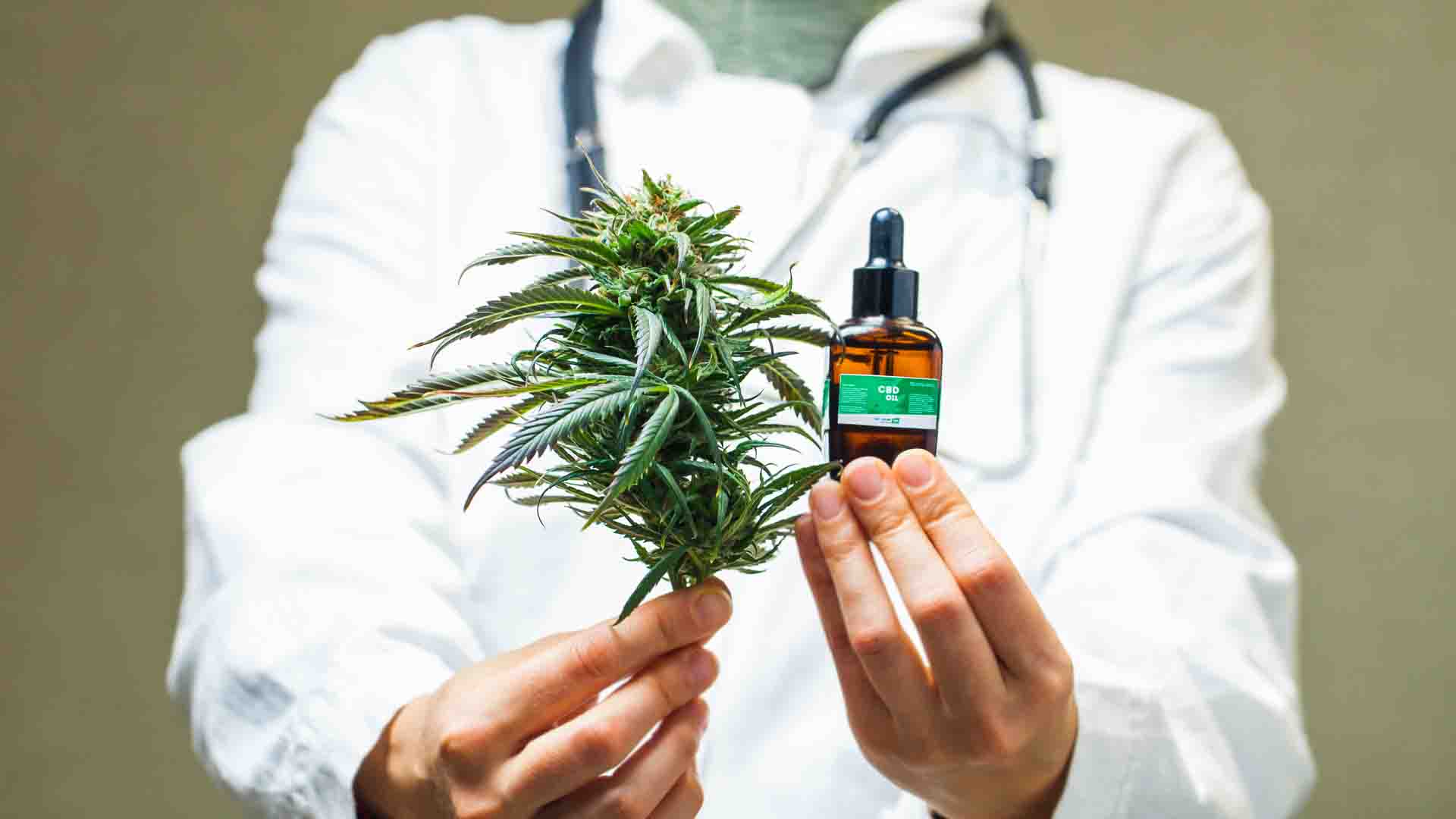 Le cannabis thérapeutique à la fois drogue et médicament